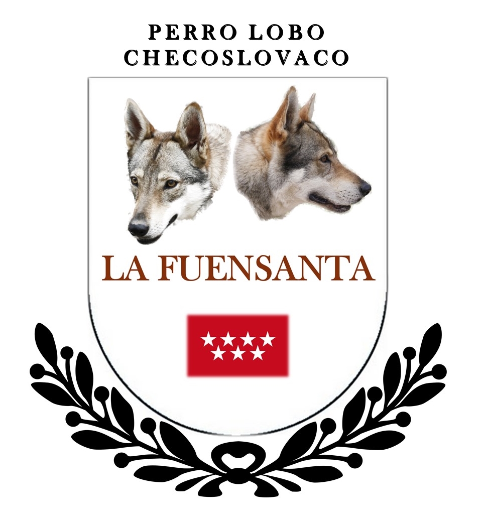 Lobos La Fuensanta